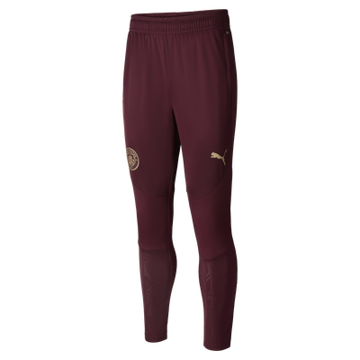 Manchester City Training Pants