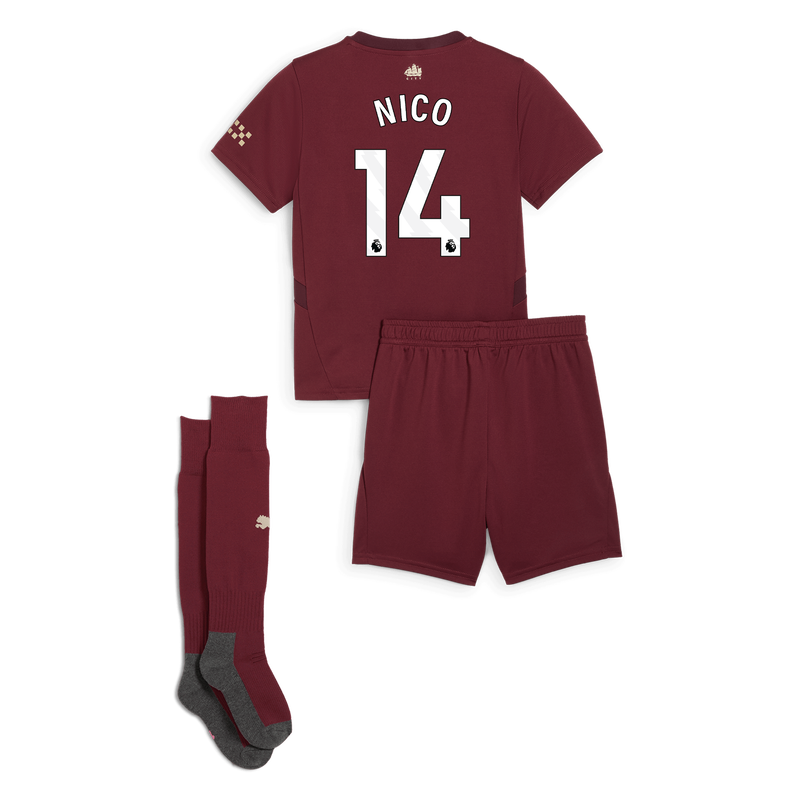 Third MINI KIT SS-NICO-14-EPL-PLC - 
