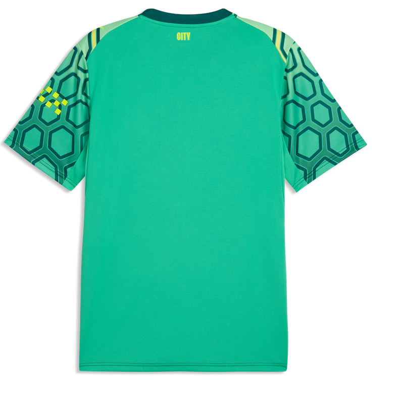 MENS GK JERSEY SS-EPL-PL - Vibrant Green-Varsity Green