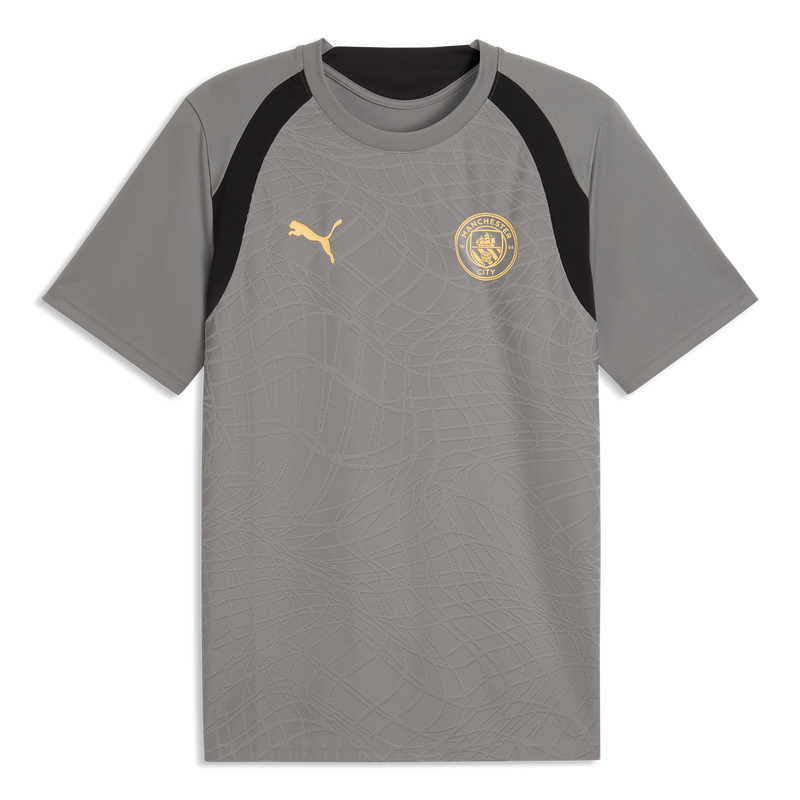MCFC TR TRAINING JERSEY - Cast Iron-Flaxen