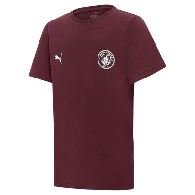 Manchester City Essentials T-Shirt voor Kinderen