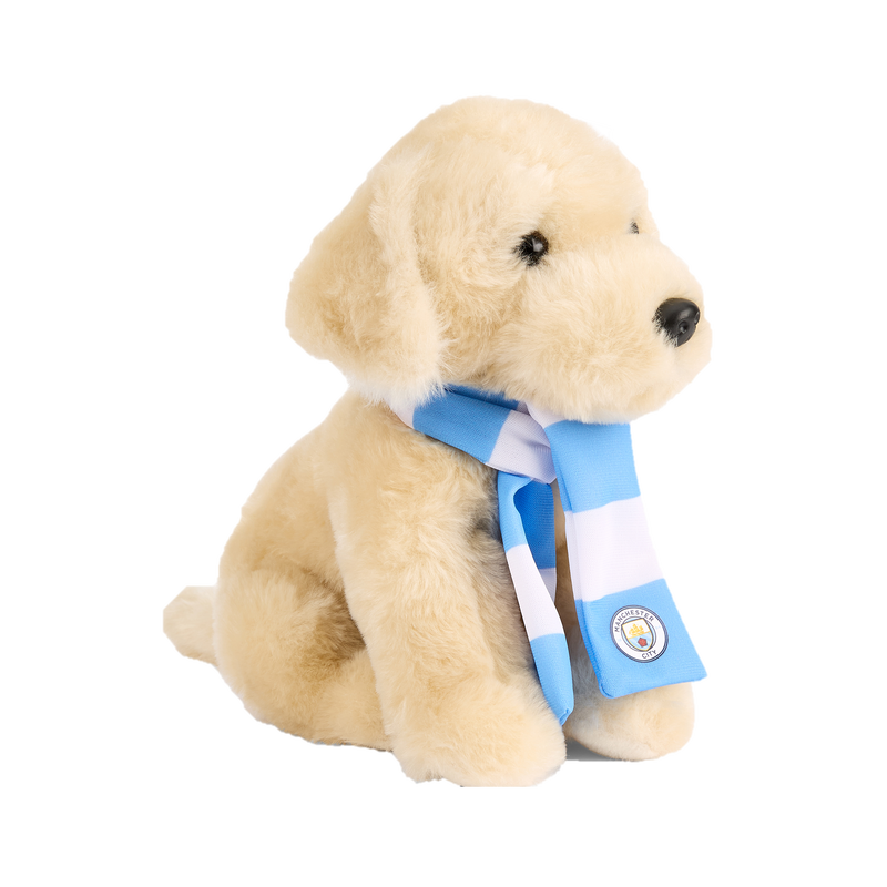 MCFC LENNY THE LABRADOR PLUSH - brown