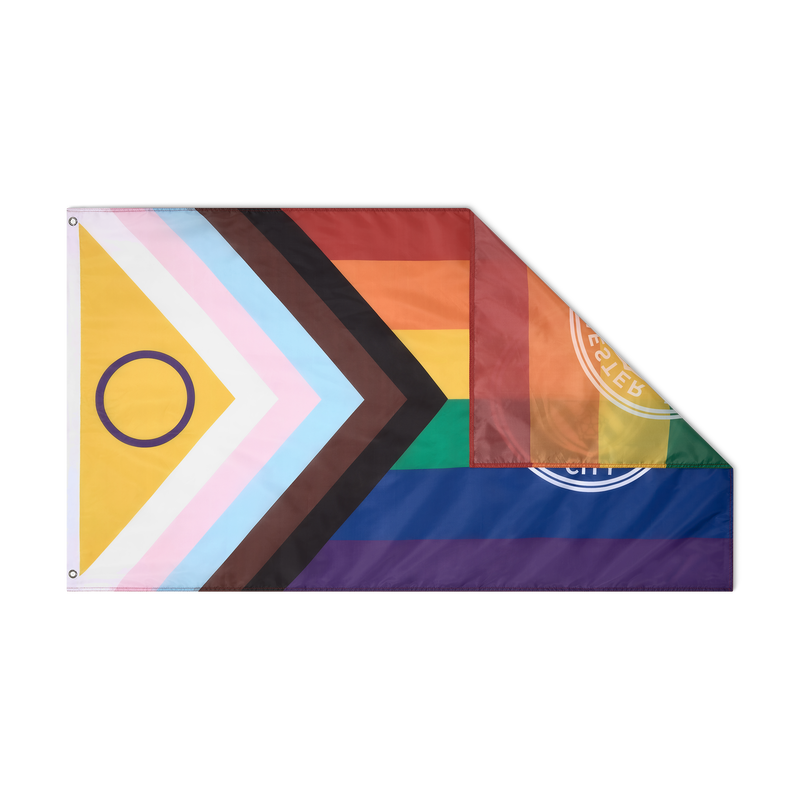 MCFC FW PRIDE FLAG - multicolor