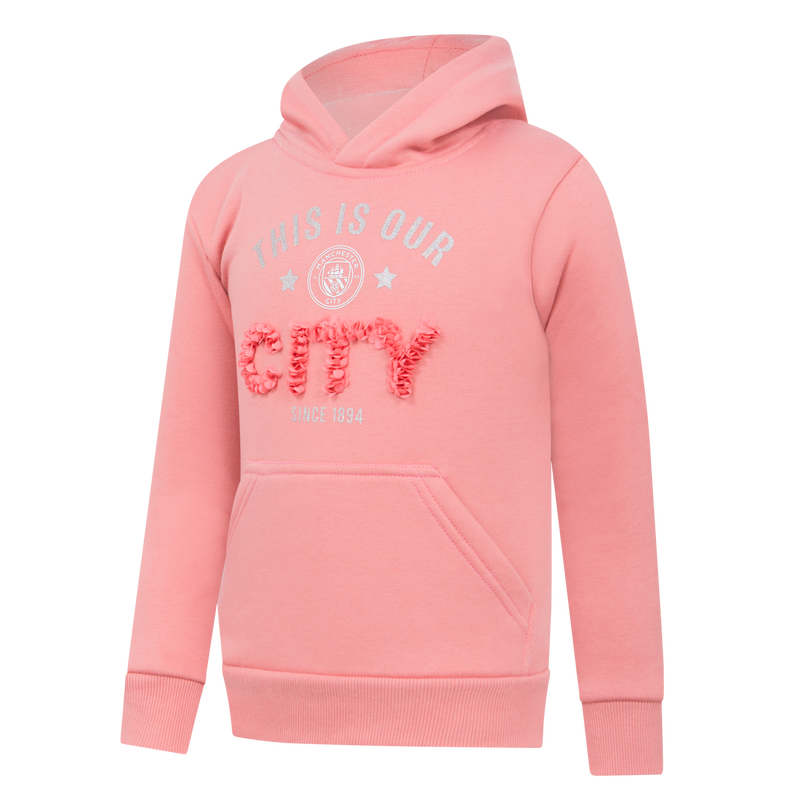 Pink store hoodies sales