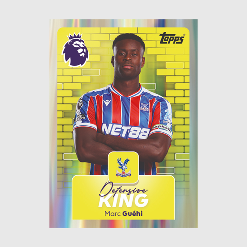 PL TOPPS 25/26 STICKER MULTIPK - multi