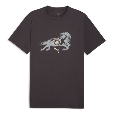 虎*介様 新品 マンチェスターシティ ホーム ナスリ インポートS マンチェスター・シティ｜公式オンラインストア