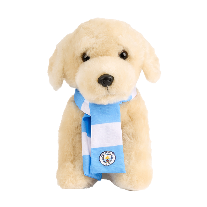 MCFC LENNY THE LABRADOR PLUSH - brown