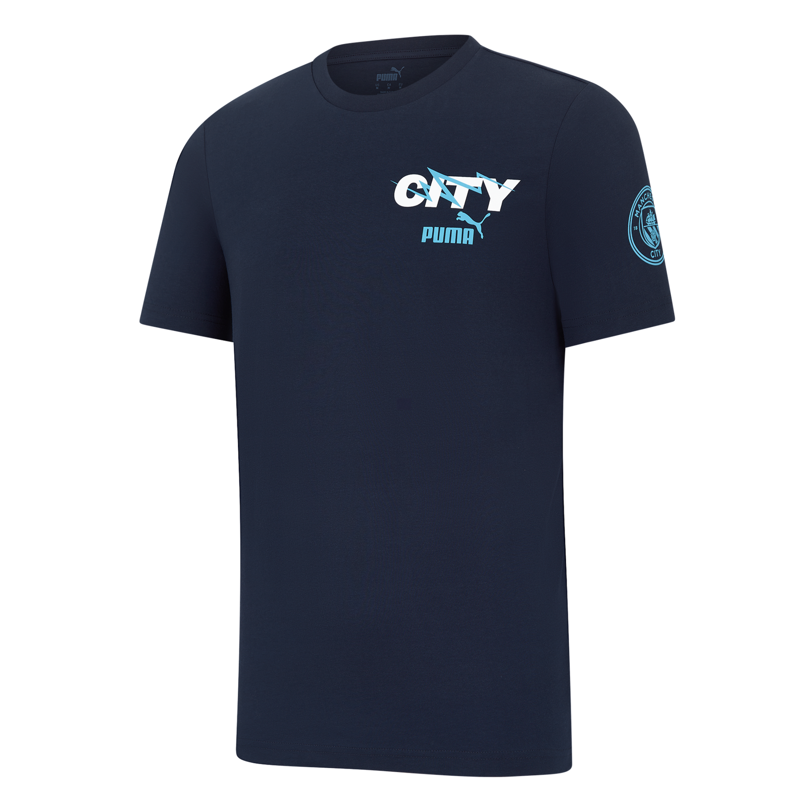 Manchester City Ftblicons T-Shirt